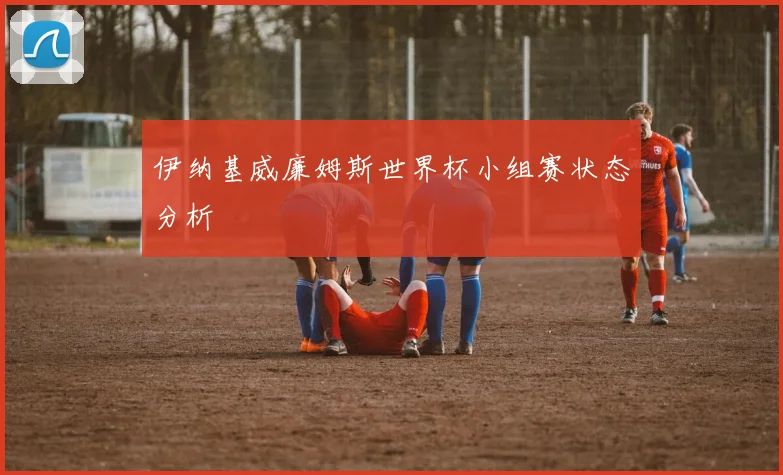 伊纳基威廉姆斯世界杯小组赛状态分析