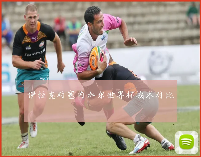 伊拉克对塞内加尔世界杯战术对比