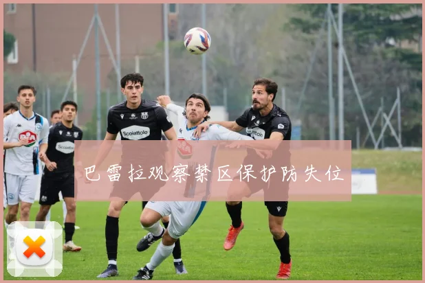 巴雷拉观察禁区保护防失位